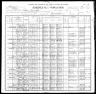 1900 Census, Saline township, Perry county, Missouri
