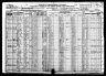 1920 Census, Apple Creek township, Cape Girardeau county, Missouri
