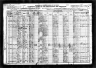 1920 Census, Lubbock county, Texas