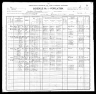 1900 Census, Jackson township, Maries county, Missouri