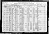 1920 Census, Saratoga town, Wood county, Wisconsin