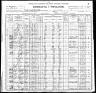 1900 Census, Puxico, Stoddard county, Missouri