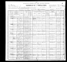 1900 Census, Lesieur township, New Madrid county, Missouri