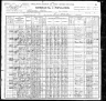 1900 Census, Morris town, Otsego county, New York