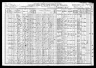 1910 Census, Wood township, Wright county, Missouri
