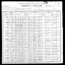 1900 Census, Union township, Lincoln county, Missouri