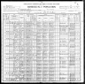 1900 Census, Pendleton township, St. Francois county, Missouri