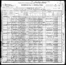 1900 Census, St. Louis, Missouri