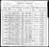 1900 Census, Cairo, Alexander county, Illinois