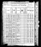1880 Census, Lyndon township, Whiteside county, Illinois