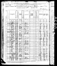1880 Census, Hopkins county, Texas