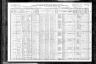 1910 Census, Elvins, St. Francois county, Missouri