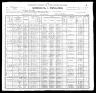 1900 Census, Louisiana, Pike county, Missouri
