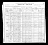 1900 Census, Union township, Iron county, Missouri