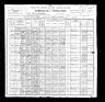 1900 Census, Obion county, Tennessee