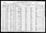 1920 Census, Perry township, St. Francois county, Missouri