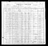 1900 Census, Simpson township, Johnson county, Missouri