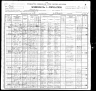 1900 Census, Taylor county, Texas