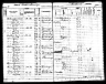 1885 Iowa Census, Woodland township, Decatur county