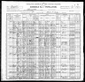 1900 Census, Springfield township, Cottonwood county, Minnesota