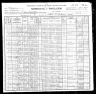 1900 Census, Salem township, Delaware county, Indiana