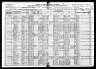 1920 Census, Donnelly township, Stevens county, Minnesota