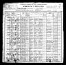 1900 Census, Pleasanton, Linn county, Kansas